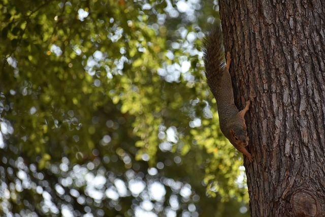 后质疑裁判 后质疑裁判