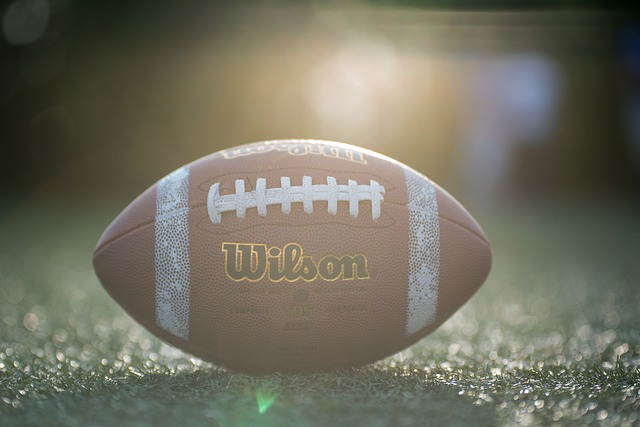 他的情绪失 他的情绪失