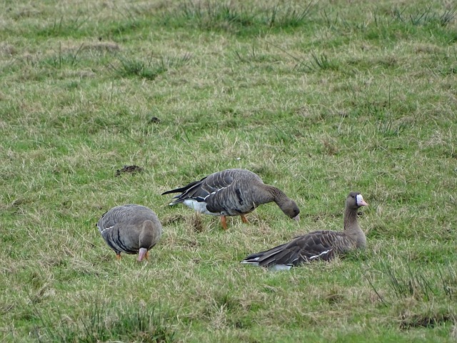 已成为当代 已成为当代