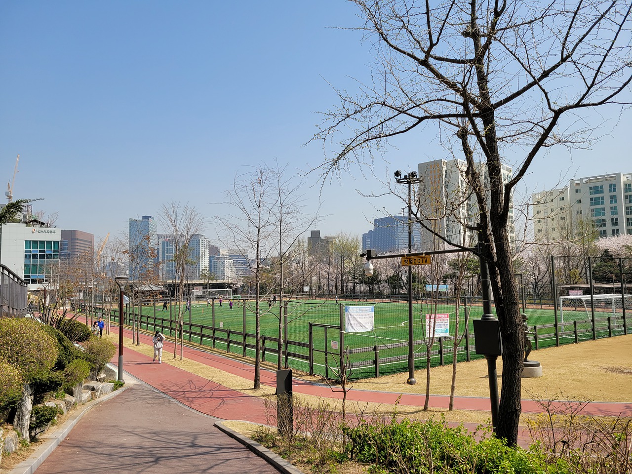 而是展现了 而是展现了