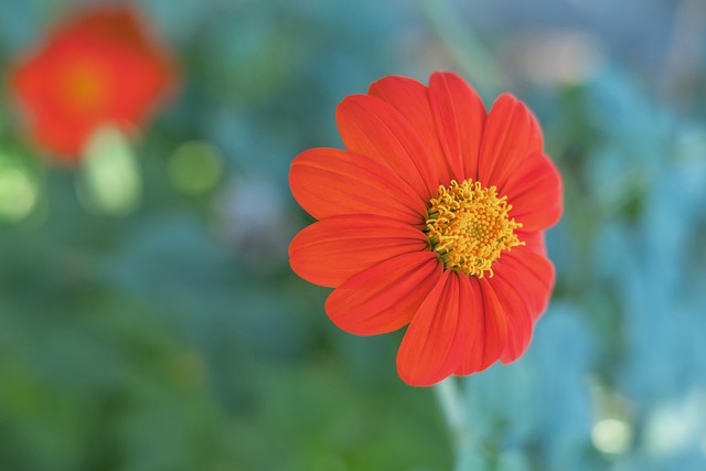 这一对比直 这一对比直