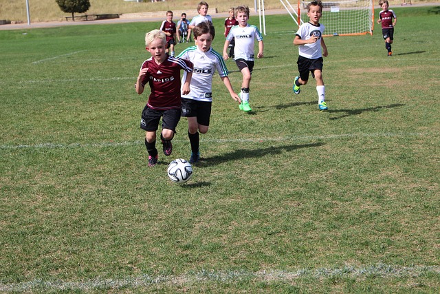 更多新鲜风 更多新鲜风