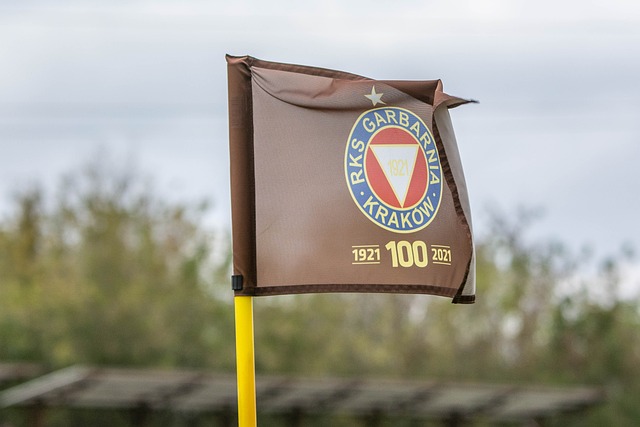 从这些历史 从这些历史