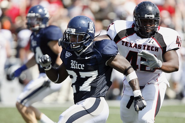 了多元化的 了多元化的