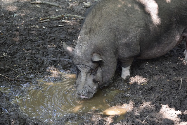 了一些变数 了一些变数